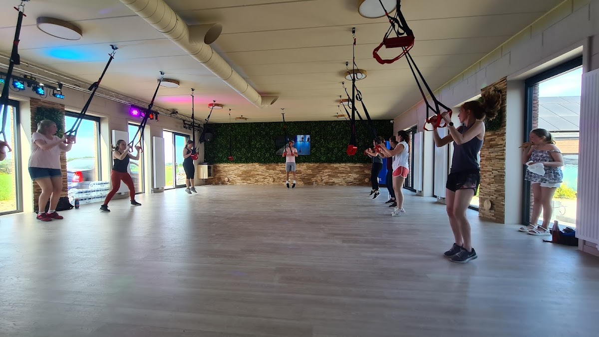 Le mélèze d&rsquo;Europe