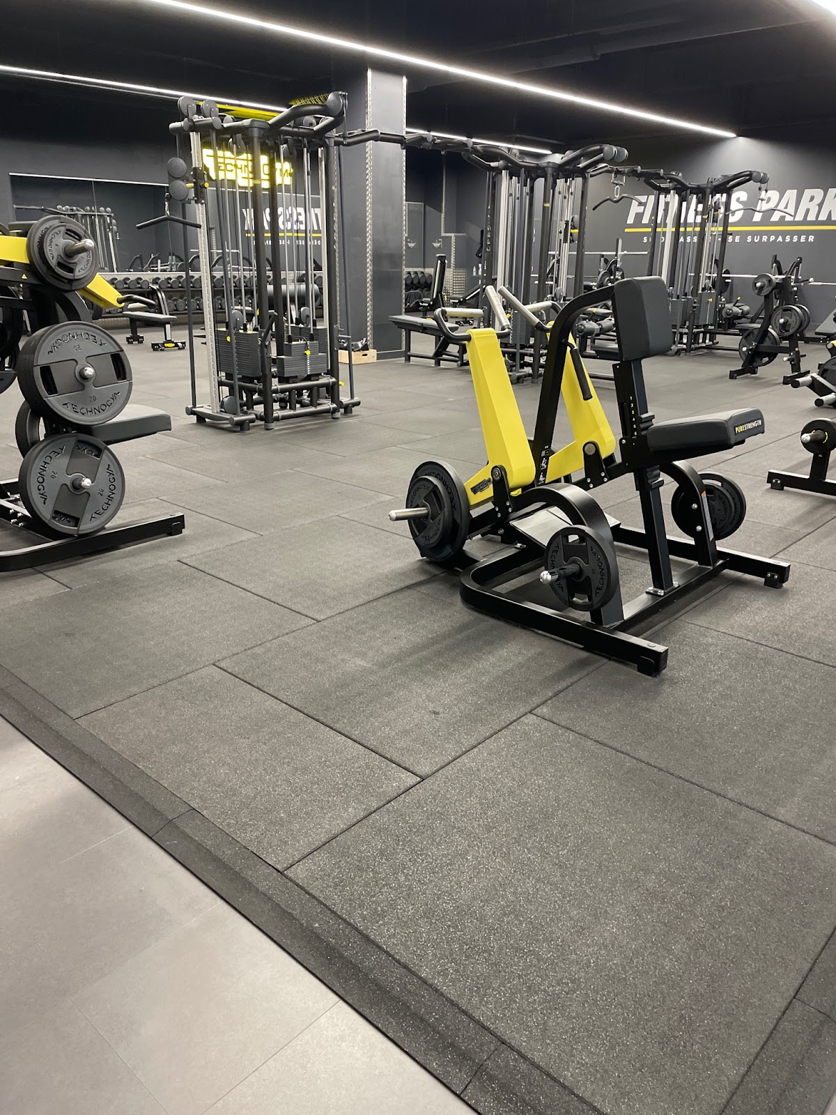 antiquités – antiquities