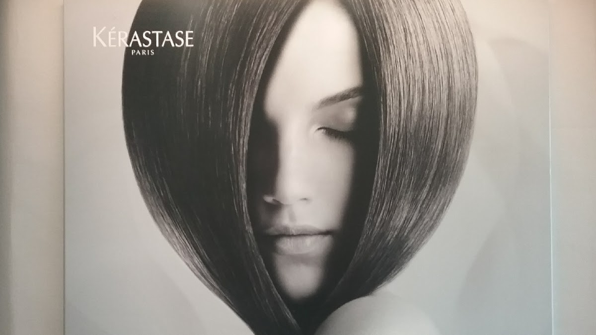 La chênaie-boulaie de substitution