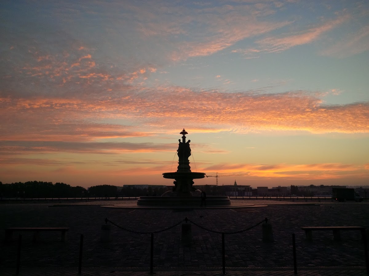 Sellerie Mahieu-Pauwels